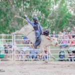 rodeo_249464_02.jpg