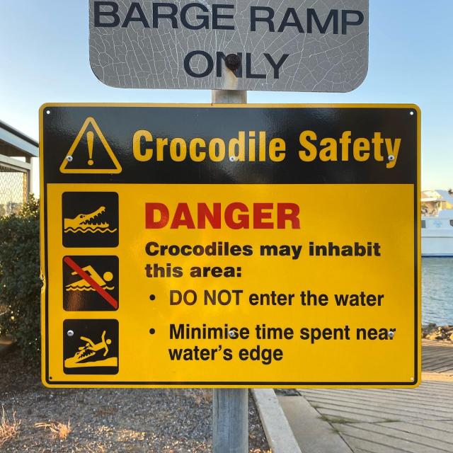 Alleged Croc Sighted In Barney Point Gladstone Today