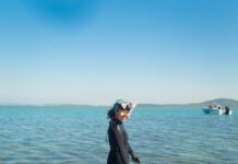 Marine scientists look to seaweed for ‘hot air’ solution