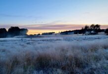 Coldest morning of the year