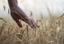 Next Term of Government Critical – State and Federal