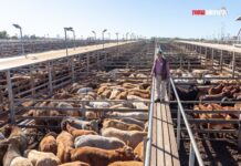 EU regulators have no place on our shores