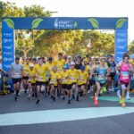 run_427537_03
