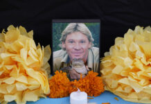 On This Day: National Wildlife Day!