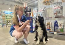 Pet chompers in the spotlight