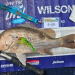 fishing_435426_02