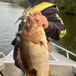 fishing_438485_09