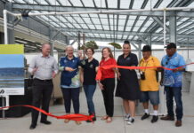 World’s largest seagrass nursery opens in Gladstone