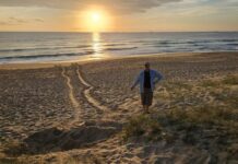 Be mindful during turtle nesting season