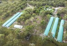 28 people charged over cannabis operation