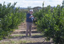 Farmers frustrated and miss out on Connectivity Program