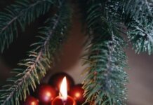 Festive season safety