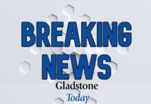 Shark attack off Curtis Island