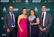 Springsure takes gold