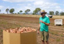 When shape and size really does matter