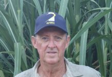 Why I back the cane industry