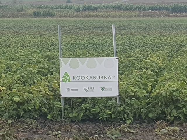 ag_470917_01