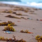 ConocoPh_482175_02