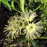 Garden_480891_01