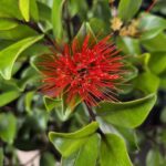 Garden_480891_09