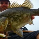 fishing_483792_01