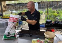 Growing healthy habits