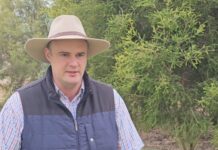 Callide MP pushes for certainty on coal-fired power