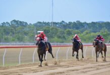 Schultz enjoys hometown win