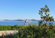 Ports Corp reaches settlement in class action – GPC off the hook