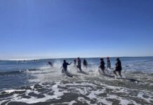 Polar Plunge success