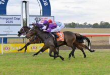 Olzard lands treble including Thangool Cup win