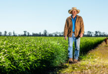 Protecting our grain: biosecurity can’t be an afterthought