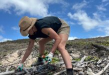 Council backs 2025 Great Barrier Reef clean-up