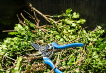 Free green waste drop-off opens