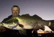 Southern region fishing
