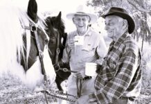 Mateship and storytelling captured in winning image