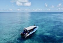 Students swap textbooks for snorkels