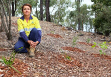 Lake Awoonga goes greener