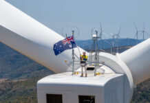 Twiggy top of the world at Clarke Creek