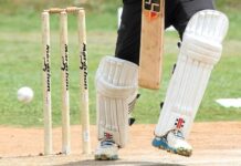 Plenty of fireworks in Sunday T20 cricket