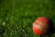 49ers continue flying start to T20 cricket season