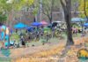 Record turnout at Lake Awoonga Adventure Race