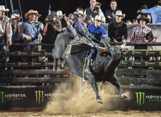 Calliope brothers ready to ride at PBR decider