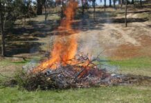 Fire Ban for Gladstone and Banana LGAs