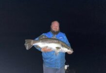 Tales from the tacklebox