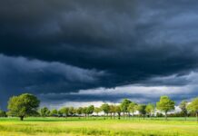 Queensland urged to prepare