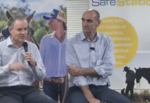 Hydrogen still a decade away