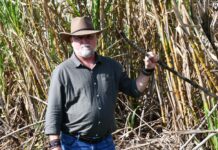 Protecting health in climate events