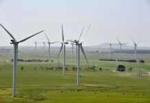 CQ renewable energy boom to create 37,000 jobs