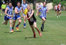 Festive start for AFL teams